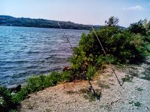 pescuit la dunare - img20130811160520.jpg